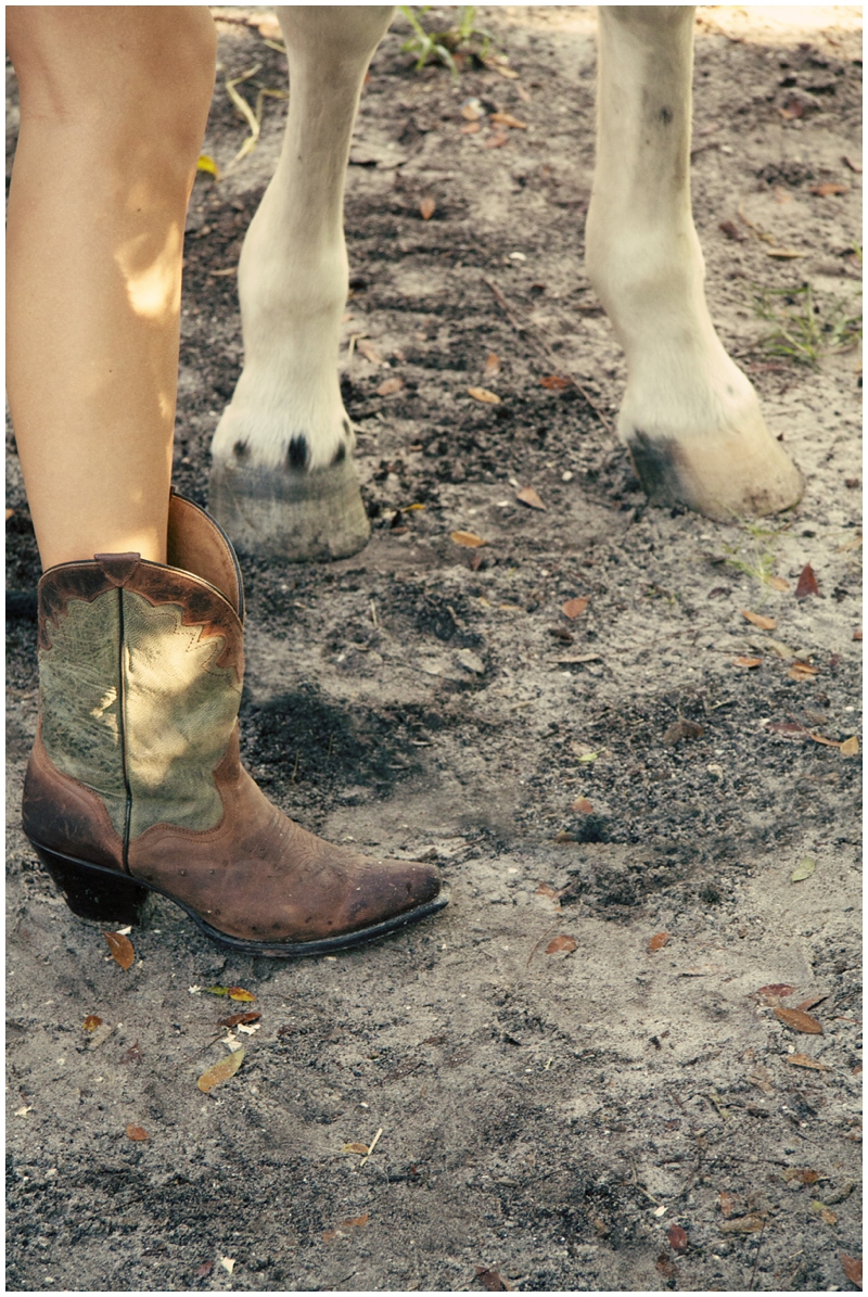 englewood florida, stables, horse, portraits, senior portraits, country portraits, natural light portraits