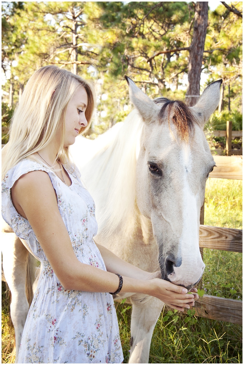 englewood florida, stables, horse, portraits, senior portraits, country portraits, natural light portraits