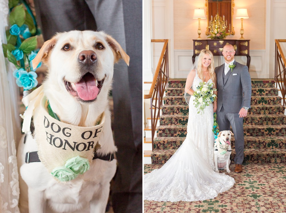 Wedding couple with dog of honor at summer destination wedding on Mackinac Island