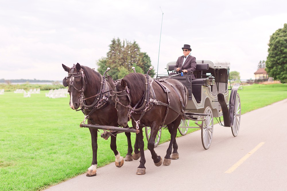 Gough carriages coming to pick up bride and groom