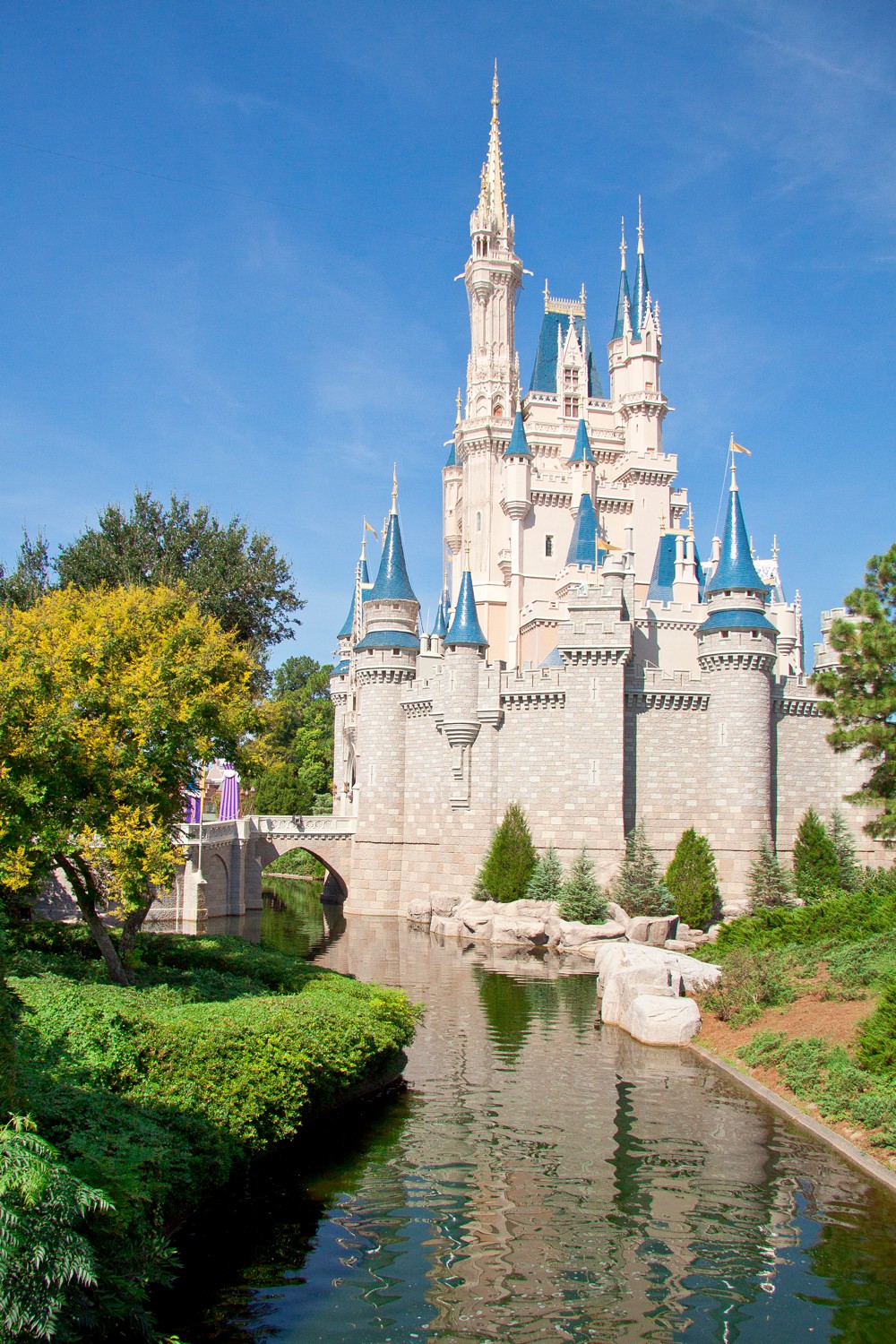 Cinderella's Castle Magic Kingdom proposal spots