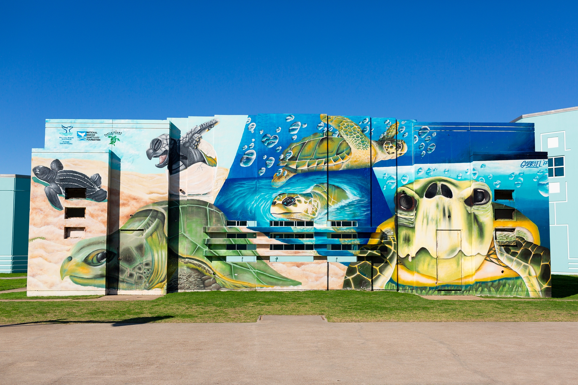 Sea Turtle mural in Galveston