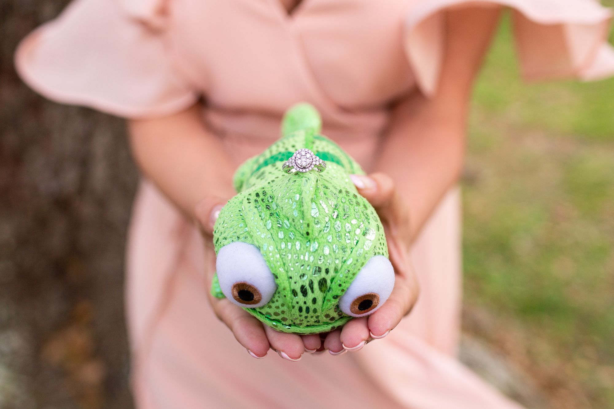 Pascal plush with diamond ring at Tangled themed engagement.